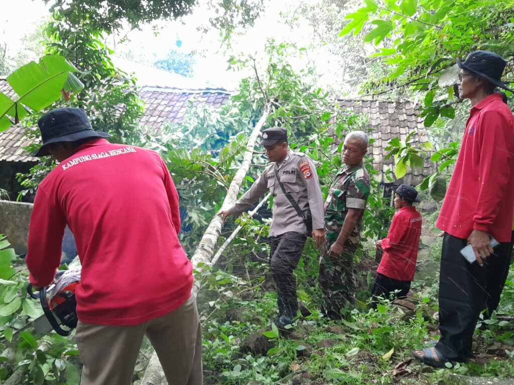 Kolaborasi Antara Polsek Pulosari, Koramil Jiput, dan Masyarakat Evakuasi Pohon Tumbang yang Menimpa Rumah Warga 2 WhatsApp Image 2024 04 19 at 22.14.06
