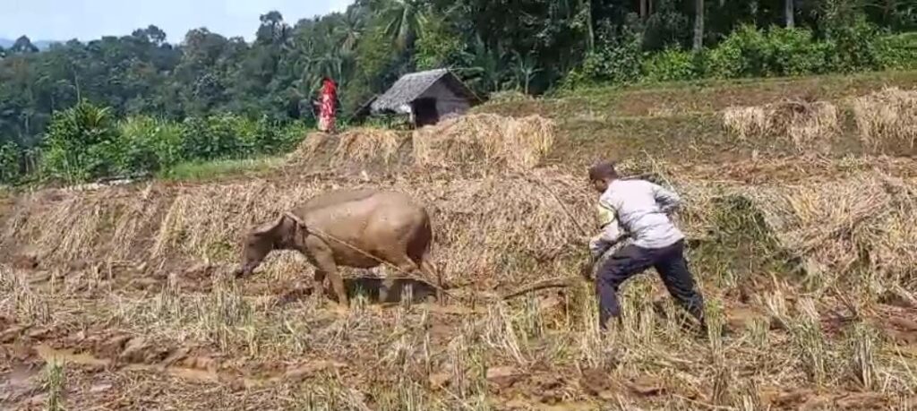 WhatsApp Image 2024 06 04 at 21.10.30