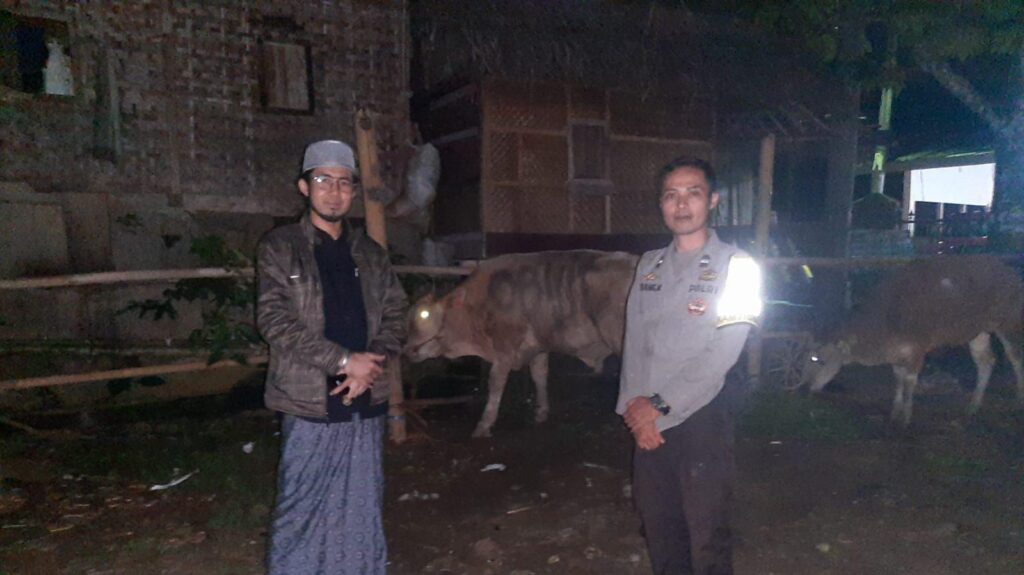 Bhabinkamtibmas Polsek Cadasari Menyerahkan Sapi Kurban kepada Abuya Muhtadi dari Kapolda Banten 5 WhatsApp Image 2024 06 16 at 09.04.28