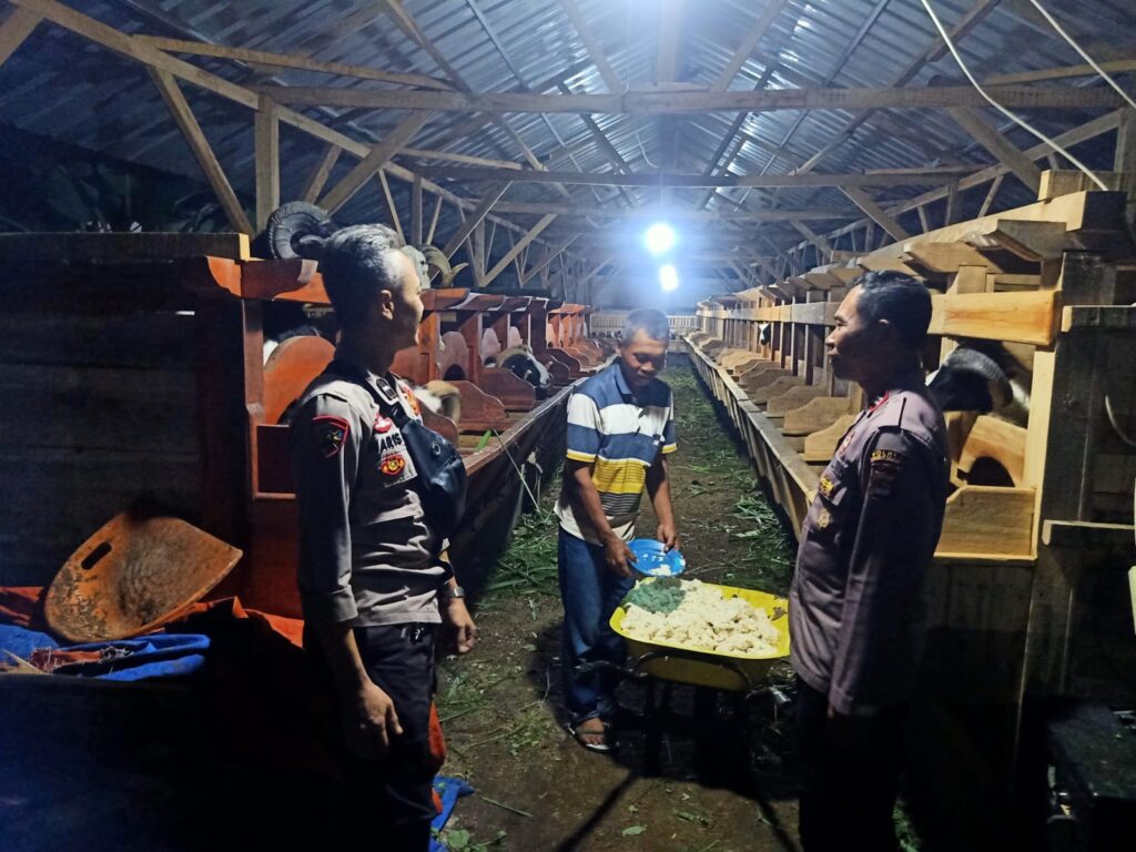 Patroli Polsek Cadasari Tingkatkan Keamanan Pedagang Kambing di Malam Hari 6 WhatsApp Image 2024 06 18 at 08.09.07