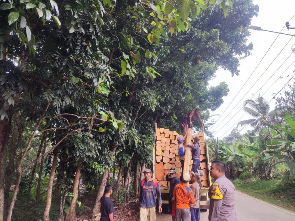 Bhabinkamtibmas Polsek Angsana Polres Pandeglang Laksanakan Patroli Dialogis di Desa Sumurlaban 1 WhatsApp Image 2024 06 20 at 18.57.45