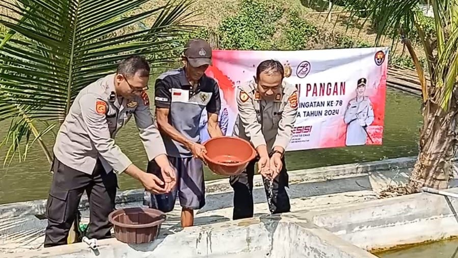 Polsek Cadasari Gelar Kegiatan Ketahanan Pangan Berikan 100 Bibit Anakan Ikan Lele 9 WhatsApp Image 2024 06 26 at 08.48.34