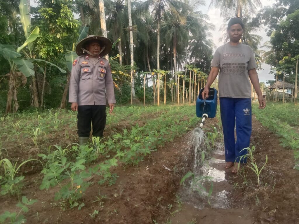 WhatsApp Image 2025 06 03 at 17.06.06