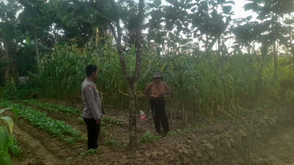 WhatsApp Image 2025 06 05 at 18.50.39