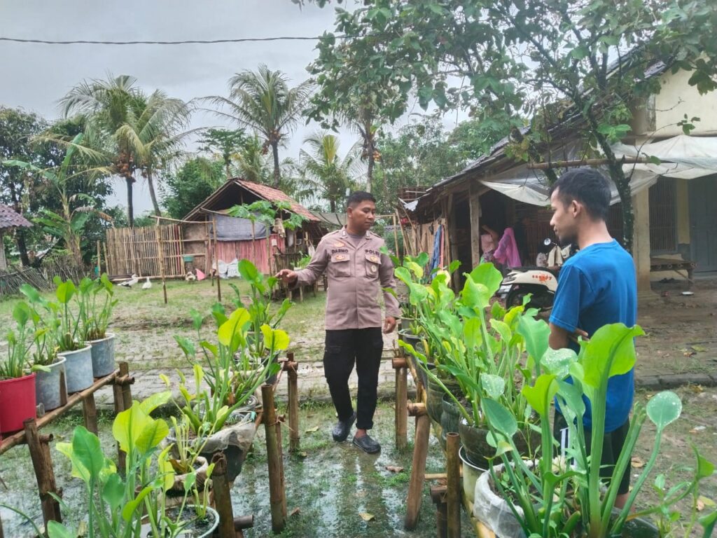 WhatsApp Image 2025 06 08 at 18.57.16