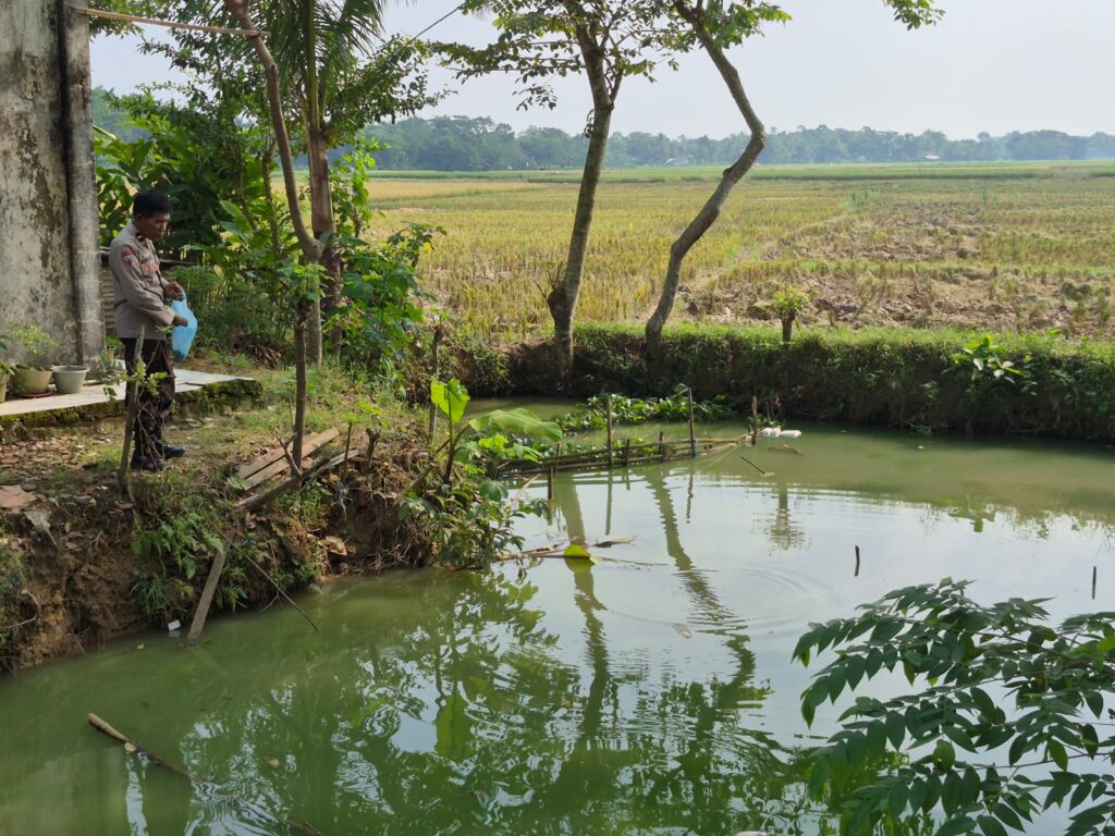 Dukung Swasembada Pangan, Bhabinkamtibmas Polsek Patia Sambangi Pembudi Daya Ikan Nila di Desa Idaman 4 WhatsApp Image 2025 06 23 at 14.31.40