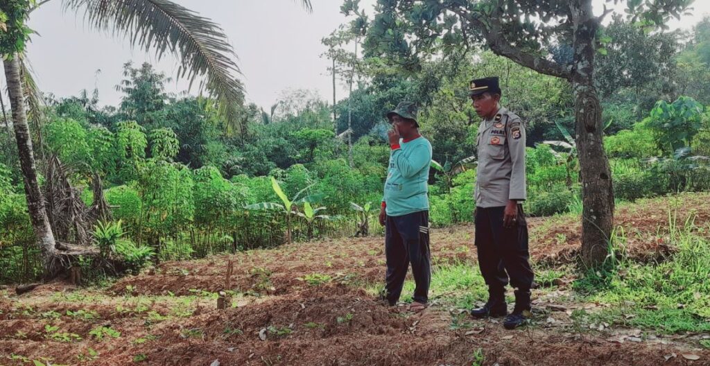Dukung Ketahanan Pangan, Bhabinkamtibmas Polsek Patia Sambangi Warga Petani di Desa Peuntas 3 asdxc