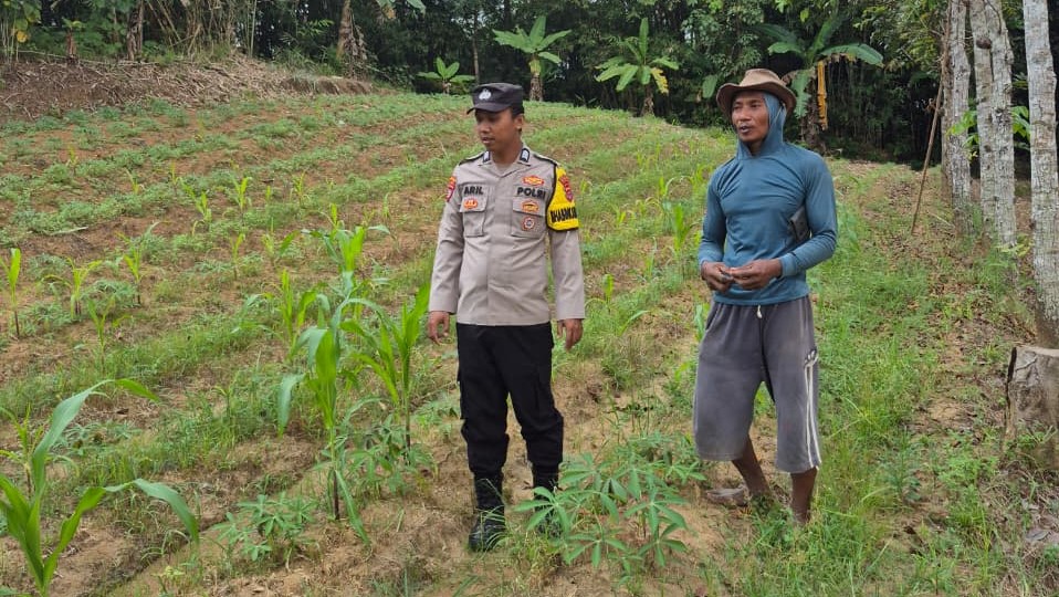 WhatsApp Image 2025 07 26 at 13.16.25